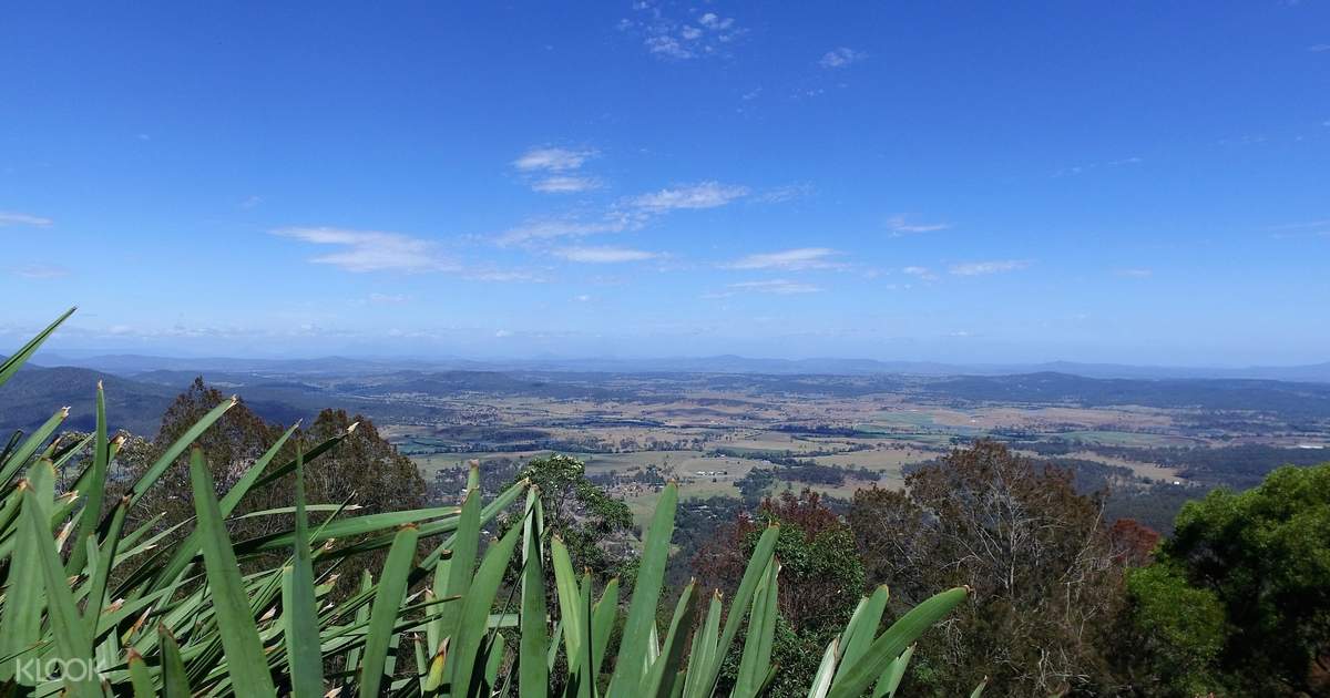 Tamborine Mountain Tour from Gold Coast, Queensland, Australia Klook